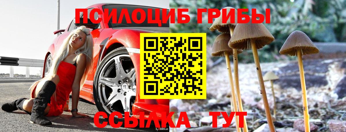 где можно купить   Псилоцибиновые грибы GOLDEN TEACHER  Вход с VPN  Усть-Кут 